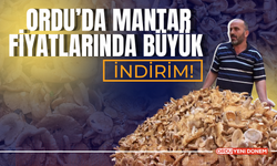 Ordu’da Mantar Fiyatlarında Büyük İndirim! Yerli Mantarlar Yarı Fiyata Düştü