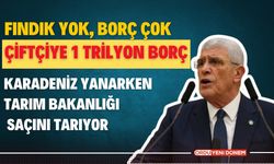 Fındık Yok, Borç Çok: Çiftçiye 1 Trilyon Borç