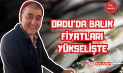 Ordu’da Balık Fiyatları Yükselişte: Hamsi Tezgahlarda Yüksek Fiyattan Satılıyor