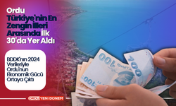 Ordu, Türkiye'nin En Zengin İlleri Arasında İlk 30'da Yer Aldı