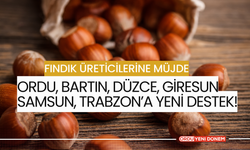 Fındık Üreticilerine Müjde: Ordu, Bartın, Düzce, Giresun ,Samsun, Trabzon’a Yeni Destek!