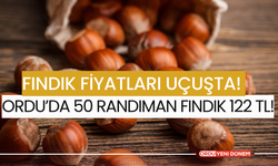 Fındık Fiyatları Uçuşta! Ordu'da 50 Randıman Fındık 122 TL