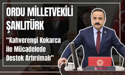 Ordu Milletvekili Şanlıtürk: Kahverengi Kokarca ile Mücadelede Destek Artırılmalı