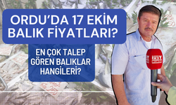 Ordu’da 17 Ekim Balık Fiyatları? En Çok Talep Gören Balıklar Hangileri?