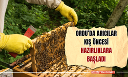 Ordu’da Arıcılar Kış Öncesi Hazırlıklara Başladı