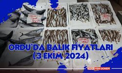 Ordu’da Balık Fiyatları (3 Ekim 2024)