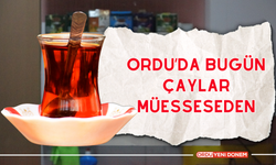 Ordu’da Bugün Çaylar Müesseseden