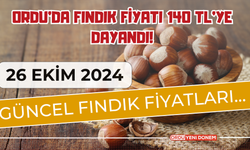 Ordu’da Fındık Fiyatı 140 TL’ye Dayandı! 26 Ekim İl İl Fındık Fiyatları