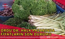 Ordu’da, Halk pazarında Fiyatların Son Durumu