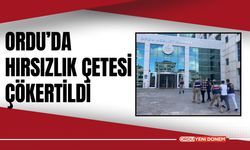 Ordu’da Hırsızlık Çetesi Çökertildi