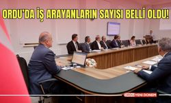 Ordu’da İş Arayanların Sayısı Belli Oldu!