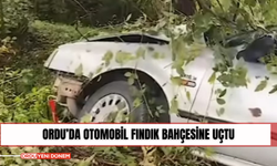 Ordu’da Otomobil Fındık Bahçesine Uçtu