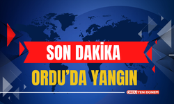 Ordu'da Yangın! İşte O Görüntüler...