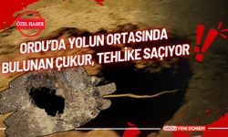 Ordu’da Yolun Ortasında Bulunan Çukur, Tehlike Saçıyor!