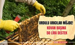 Ordulu Arıcılar Müjde! Kovan Başına 50 Lira Destek