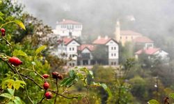 Tarihi Süleymaniye Mahallesi’nde sisli sonbahar güzelliği