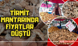 Tirmit Mantarında Fiyatlar Düştü