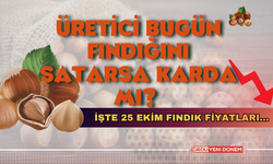 Üretici Bugün Fındığını Satarsa Karda Mı? 25 Ekim 2024 Fındık Fiyatları