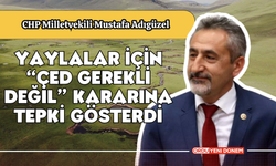 Yaylalar İçin “ÇED Gerekli Değil” Kararına Tepkiler Büyüyor