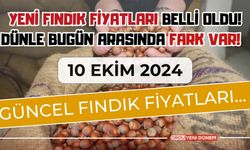 Yeni Fındık Fiyatları Belli Oldu! Dünle Bugün Arasında Fark Var! 10 Ekim 2024 Güncel Fındık Fiyatları…