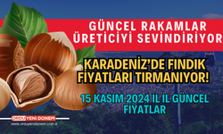 Fındık Fiyatları Yükselişte! 15 Kasım 2024 Güncel Fiyatlar