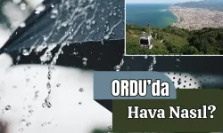 Meteoroloji açıkladı: 29 Kasım 2024 Ordu'da hava durumu raporu