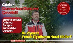 30 Kasım Cumartesi Günü Fındık Üreticisini Ne Bekliyor?