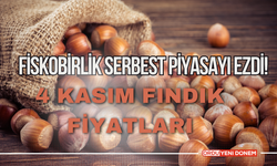 Fiskobirlik Serbest Piyasayı Ezdi!4 Kasım Fındık Fiyatları