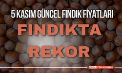 Fındıkta Neler Oluyor? 5 Kasım Güncel Fındık Fiyatları