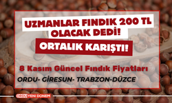 Uzmanlar Fındık 200 TL Olacak Dedi! Ortalık Karıştı! 8 Kasım Güncel Fındık Fiyatları