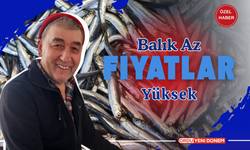 BALIK AZ FİYATLAR YÜKSEK