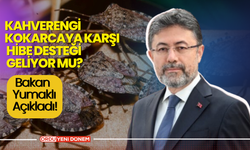 Kahverengi Kokarcaya Karşı Hibe Desteği Geliyor mu? Bakan Yumaklı Açıkladı!