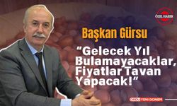 Başkan Gürsu’dan Fındık Fiyatlarına İlişkin Çarpıcı Açıklama!