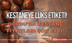 Ordu’da Kestaneye Lüks Etiketi! Bu Fiyatlarla Tadımlık Alınacak Hale Geldi