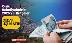 Ordu Belediyelerinin 2025 Yılı Bütçeleri Dudak Uçuklattı!