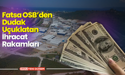 Karadeniz’den Dünyaya Dolar Yağdıran OSB: Fatsa, İhracat Rekoru Kırıyor!