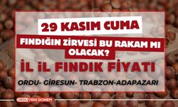 Fındığın Zirvesi Bu Rakam Mı Olacak? 29 Kasım Güncel Fındık Fiyatları…