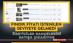 Fındık Fiyatı İstenilen Seviyeye Gelmedi, Üreticiler Bahçelerini Satışa Çıkarıyor