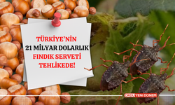 Türkiye’nin 21 Milyar Dolarlık Fındık Serveti Tehlikede!