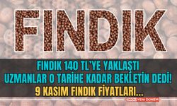 Fındık 140 TL’ye Yaklaştı, Uzmanlar O Tarihe Kadar Bekletin Dedi! 9 Kasım Fındık Fiyatları…