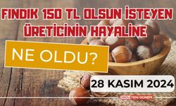 Fındık 150 TL Olsun İsteyen Üreticinin Hayaline Ne Oldu? 28 Kasım Güncel Fındık Fiyatları…