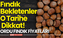 Fındık Piyasasında Sabır Sınavı! Yıl Sonu İçin Umut Var! Ordu Fındık Fiyatları...