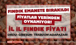 Fındık Emanete Bırakıldı, Fiyatlar Yerinden Oynamıyor! 12 Kasım İl İl Fındık Fiyatları…