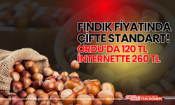 Fındık Fiyatında Çifte Standart! Ordu’da 120 TL, İnternette 260 TL