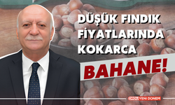 Düşük Fındık Fiyatlarında Kokarca Bahane!