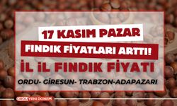 Fındık Fiyatları Arttı! 140 TL Olan Fındık Fiyatı Serbest Piyasada Kaç Lira Oldu? 17 Kasım İl İl Fındık Fiyatları…