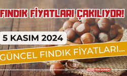 Fındık Fiyatları Çakılıyor! 6 Kasım Serbest Piyasada Fındık Fiyatları..