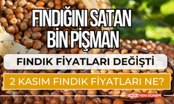 Fındık Fiyatları Değişti! Serbest Piyasada 2 Kasım Fındık Fiyatları