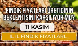 Fındık Fiyatları Üreticinin Beklentisini Karşılıyor Mu? 11 Kasım İl İl Fındık Fiyatları…