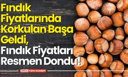 Fındık Fiyatlarında Korkulan Başa Geldi, Fındık Fiyatları Resmen Dondu!